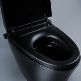 Smart Toilet IN White, And Matt Black